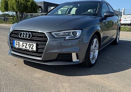 Audi A3 1.6 TDI SB | SHZ | TÜV 06/27 | 2Z-AC | S