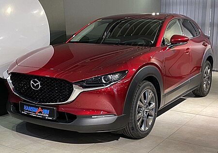 Mazda CX-30 Selection X-186/Design-P./Navi /Head-Up/Ke