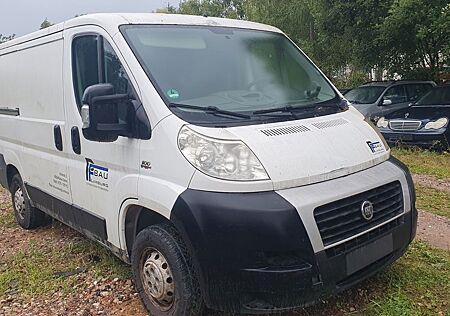 Fiat Ducato Kasten 33 100
