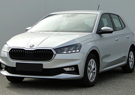 Skoda Fabia Ambition AHK PDC SHZ Smartlink