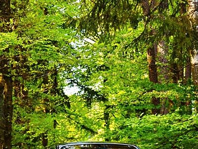 Bentley Arnage 4.4 Liter V8-Biturbo Green Label /LEDER