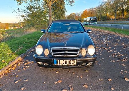 Mercedes-Benz CLK 430 AVANTGARDE Avantgarde TÜV 2027