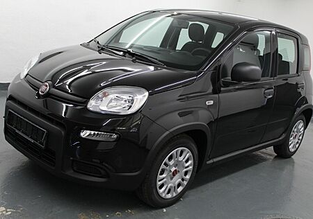 Fiat Panda 1.0 GSE DAB+PDC!