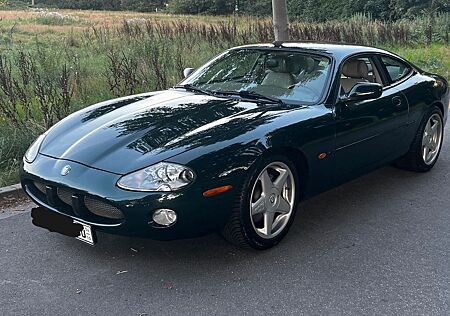 Jaguar XK8 Coupe -