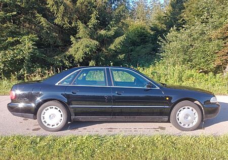 Audi A8 2.8 - Handschalter mit 103.000km
