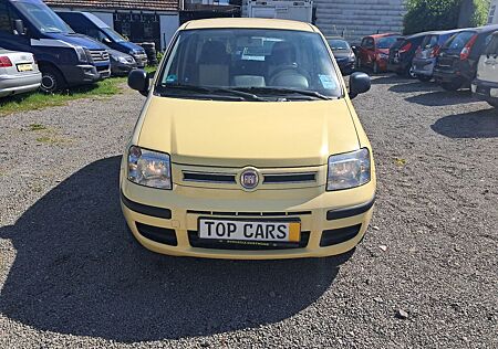 Fiat Panda 1.2 8V Dynamic Klima