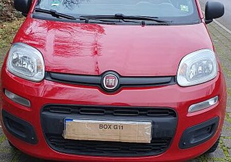 Fiat New Panda 1.2 8V EASY EASY