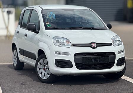 Fiat Panda 1.2l*PDC*KLIMA*SERVICE&ZAHNRIEMEN NEU