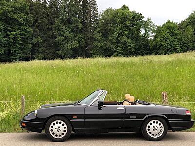 Alfa Romeo Spider