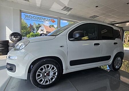 Fiat Panda 1.2 8V Easy (EURO 6d-TEMP), Klima, Zahnrie