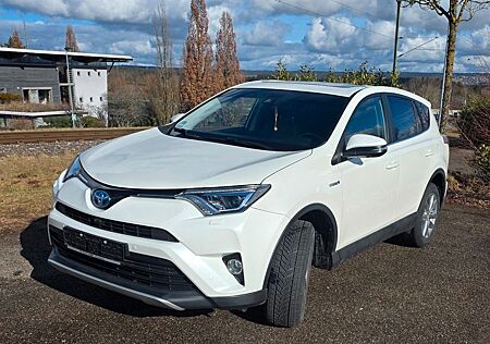 Toyota RAV 4 2,5-l-Hybrid Executive Auto 4x4 Executive