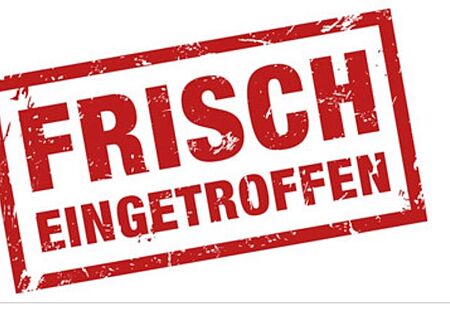 Opel Movano C Kasten HKa L2H2 3,5t Edition Klima