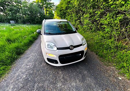 Fiat New Panda 1.2 8V -