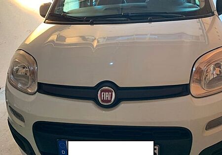 Fiat Panda Easy