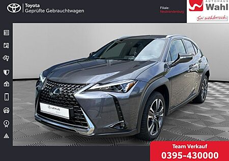 Lexus UX 250h Style Edition PDC SHZ KAMERA ACC LED