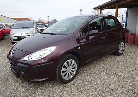 Peugeot 307 1.6 16V Grand Filou Cool