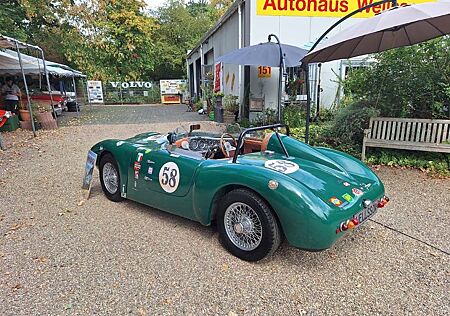 Triumph Andere Sammio ( Lancia D24 )