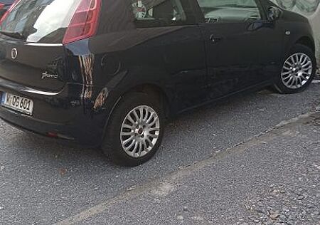 Fiat Punto gebraucht kaufen Fiat Punto 1.4 8V Dynamic Dynamic