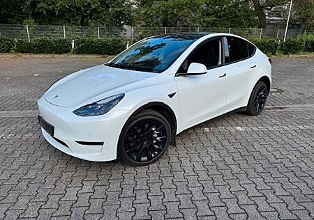 Tesla Model Y Performance Dual Motor AWD Performance