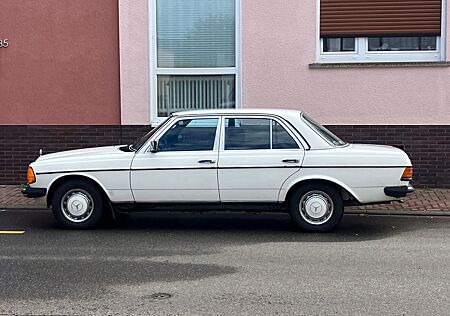 Mercedes-Benz 240 W123 240d, franz. EZ, ungeschweißt, 5 Gang! Top!