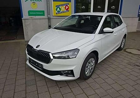 Skoda Fabia Selection1,0 TSI 70kw 95PS Nebel Geschw-Re