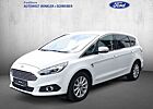 Ford S-Max 2.0 EcoBlue Allrad Aut. Titanium