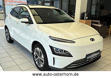 Hyundai Kona Trend Elektro / Glas Schiebe Dach elektr.