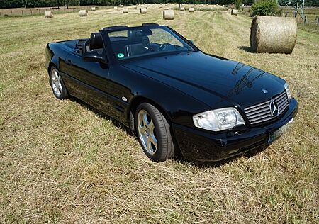 Mercedes-Benz SL 280 - Sammlerstück