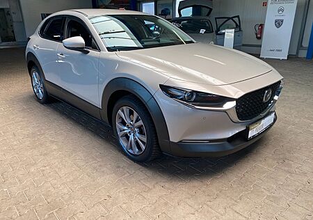 Mazda CX-3 CX-30 Selection 2WD