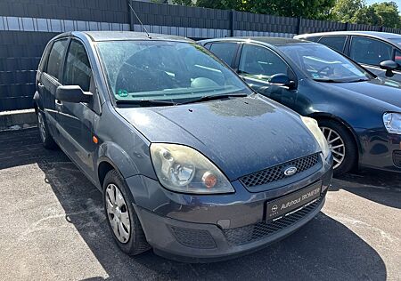 Ford Fiesta Fun