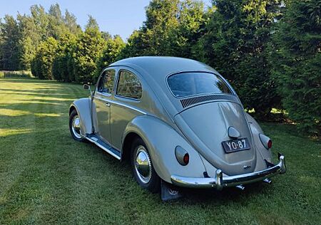 Volkswagen Käfer