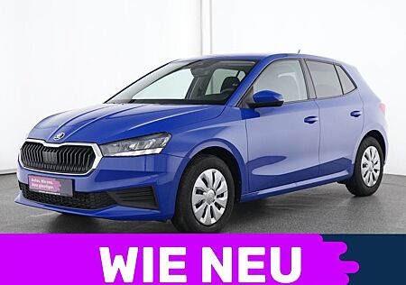 Skoda Fabia Active LED|Apple CarPlay|Sitzheizung|PDC