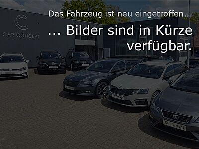 Skoda Kamiq Monte Carlo 1.0 TSI DSG PANO AHK KAMERA 18