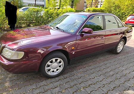 Audi A6 2.6 C4 weinrot