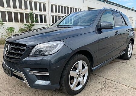 Mercedes-Benz ML 350 AMG,Panorama,Standheizung,VOLL