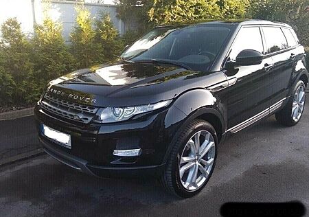 Land Rover Range Rover Evoque Evoque 2.2 TD4 Pure AHK abn. TÜV + Wartung neu