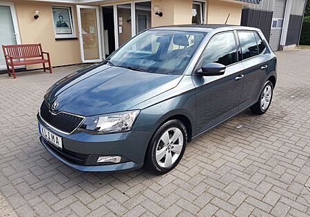 Skoda Fabia Ambition AHK SHZ PDC ALU S+W