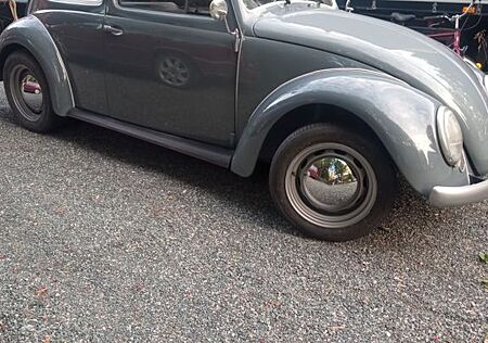 Volkswagen Käfer