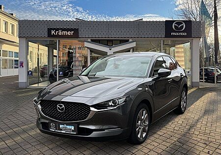 Mazda CX-30 gebraucht kaufen Mazda CX-30 L SKYACTIV-G 2.0 M Hybrid 6GS AL-SELECTION