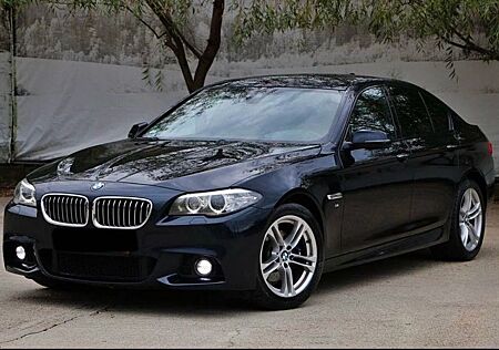 BMW 530d M Paket Performance/Alcantara/Kamera/LED