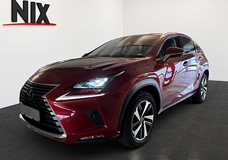 Lexus NX 300 NX 300h E-FOUR Luxury Line 360°KAMERA NAVI SHZ L