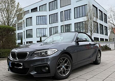 BMW 220i Cabrio M-Paket | Leder | Rückfahrkamera
