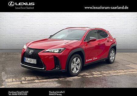 Lexus UX 300 h F Sport Design