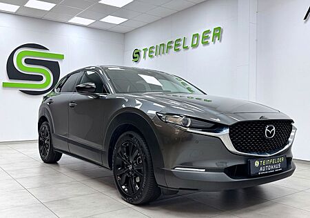 Mazda CX-30 Homura 2WD SKYACTIV / HuD / KAMERA / LED