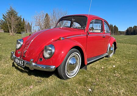 VW Käfer Volkswagen