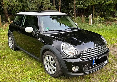 Mini Cooper Bicolor