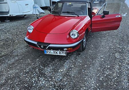 Alfa Romeo Spider