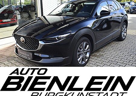 Mazda CX-30 2.5 140PS 6AG Exclusive Bose Matrix-LED 36