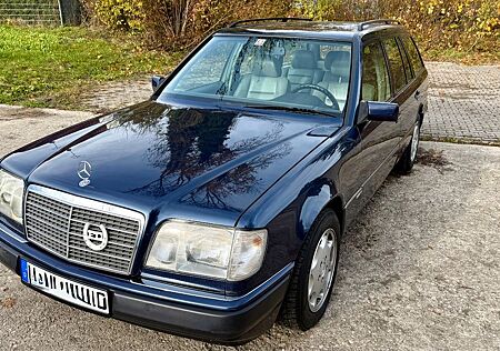 Mercedes-Benz E 300 E300 Diesel Kombi Sportline Leder AHK SSD Klima