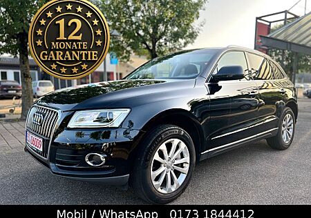 Audi Q5 3.0TDI Quattro Panoramadach Tüv NEU 8xbereift